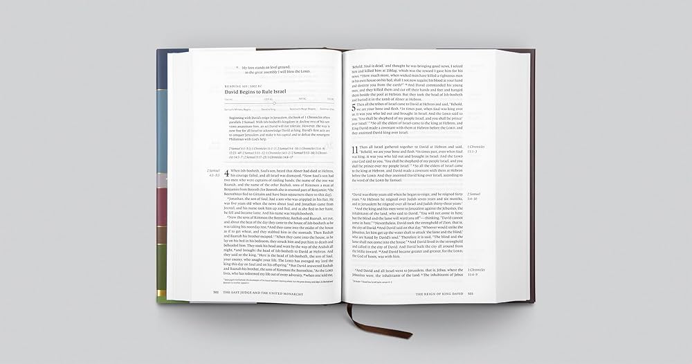 ESV Chronological Bible (Hardcover): Holy Bible, English